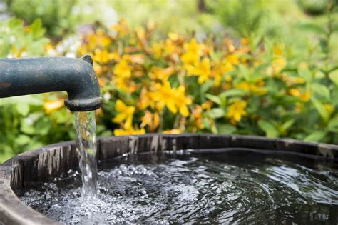 Wie Man Wasser Im Garten Spart